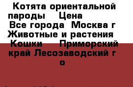 Котята ориентальной пароды  › Цена ­ 12 000 - Все города, Москва г. Животные и растения » Кошки   . Приморский край,Лесозаводский г. о. 